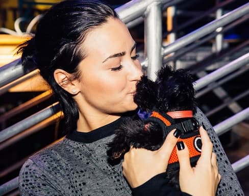 ¡Amor del bueno! Demi Lovato acudió bien acompañada al iHearRadio Music Festival por su adorable cachorro. ¡Qué tierno beso!