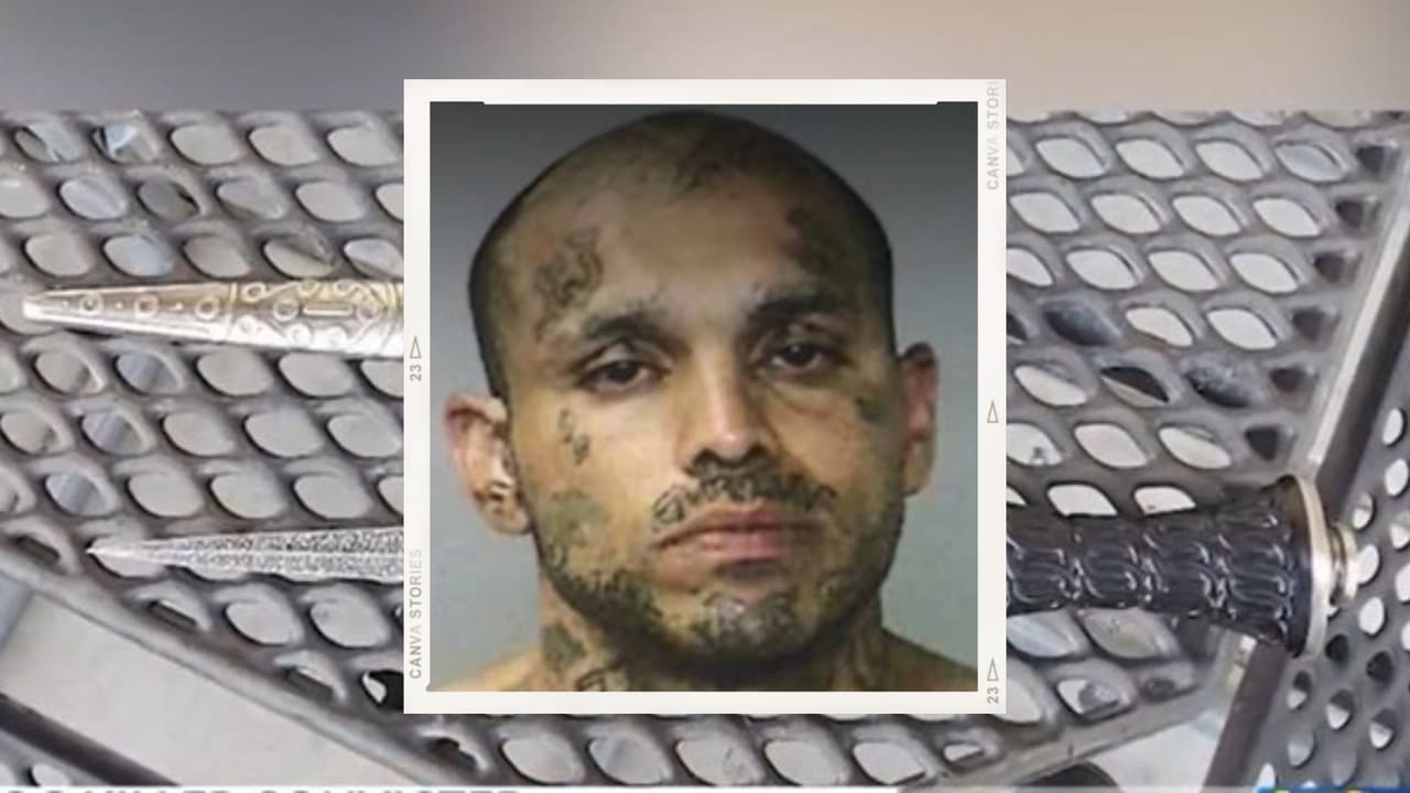 Quema vivo a un perro y podría ser condenado a 31 años de cárcel