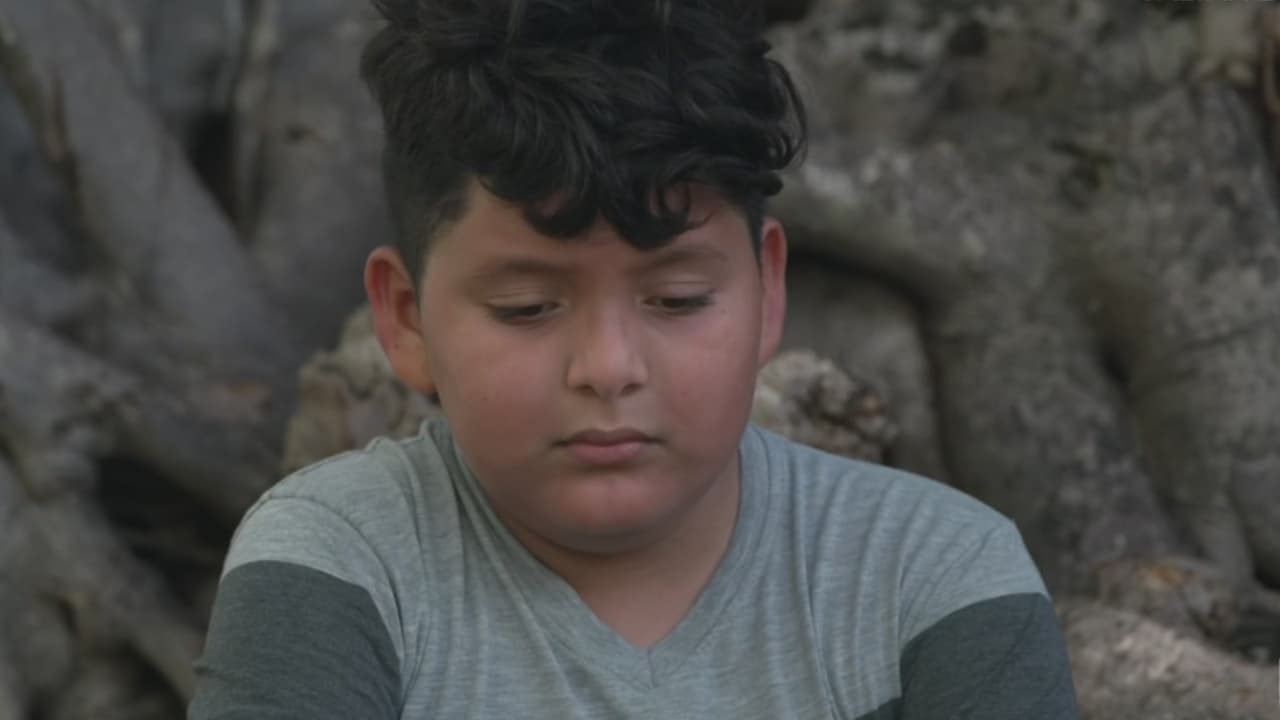 De los insultos a la agresión. Un niño sufrió un ataque que le podría dejar secuelas de por vida