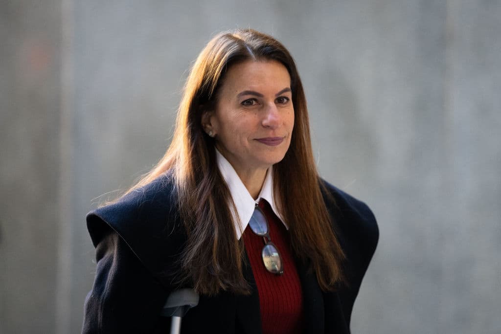 Y es que 
<b><a href="https://www.univision.com/noticias/criminalidad/asesinato-ceo-unitedhealthcare-luigi-mangione-exfiscal-de-manhattan-karen-friedman-agnifilo" target="_blank">su abogada, Karen Friedman Agnifilo</a></b>, llegó a la audiencia con un abrigo similar al de Luigi Mangione, dando la impresión de que estaban combinados.