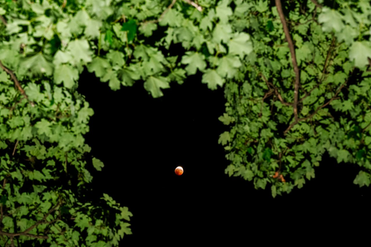 Otro ángulo del eclipse en Louisville.