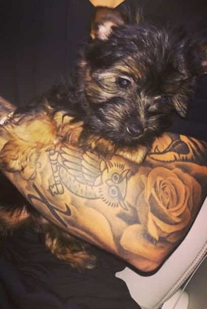 "Say hello to the newest member of the bieber family". Y con estas palabras el mundo conoció al nuevo mejor amigo de Justin.