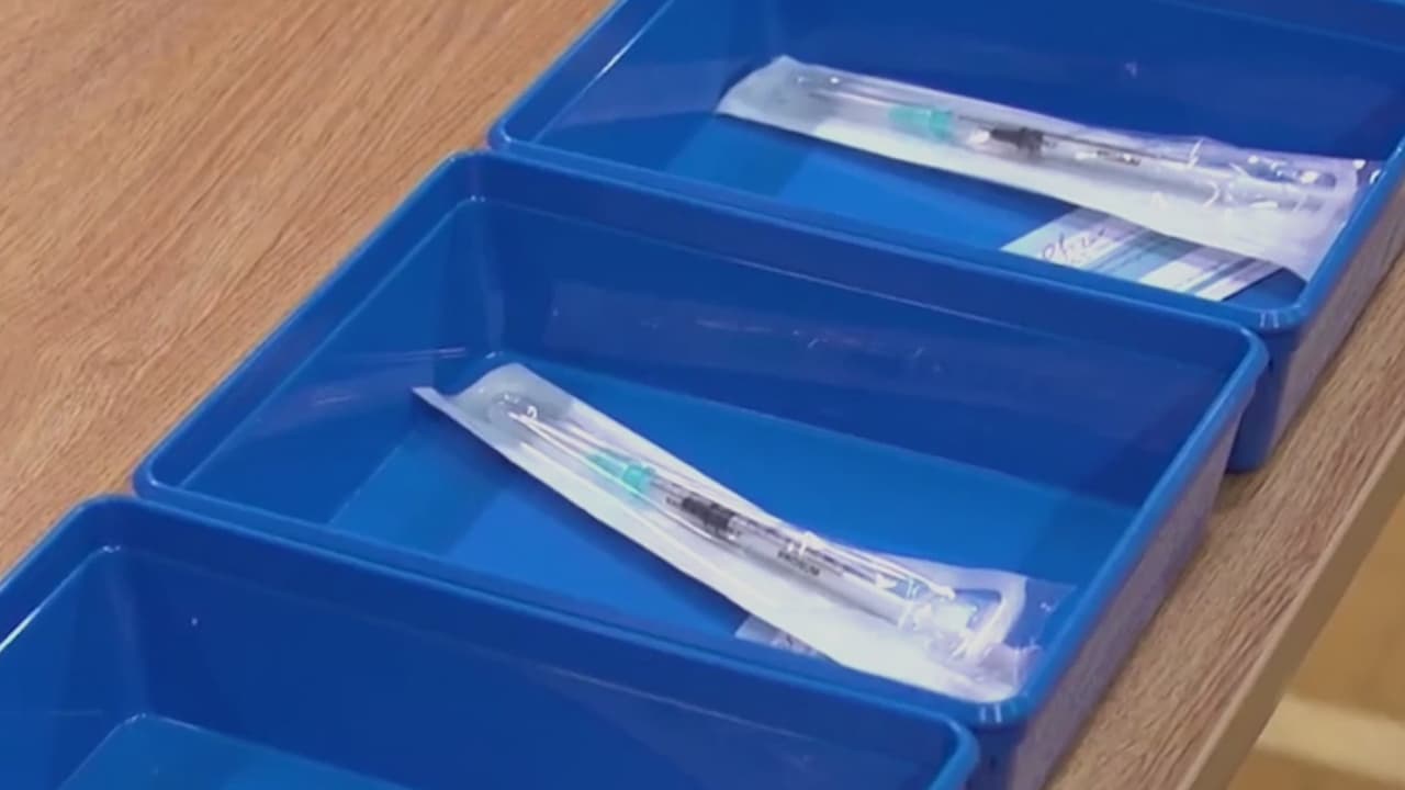 Pfizer anuncia vacuna contra enfermedad de Lyme con 70% de eficacia