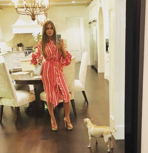 "No hable sin saber. A ver, ¿qué ha donado usted? ¿Qué ha hecho hecho usted por los niños pobres? Porque yo he hecho mucho los últimos 30 años [...]", puntualizó la actriz luego de que un internauta dijo que el festejo de Baguette era demasiado ostentoso mientras que en el mundo no hay comida para los niños pobres.