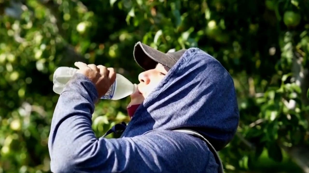 Temperaturas extremas en Arizona dejan hospitalizados y alertas sanitarias