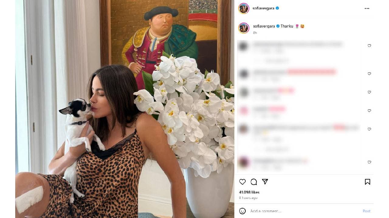 Sofía Vergara agradeció las muestras de cariño tras su cirugía.