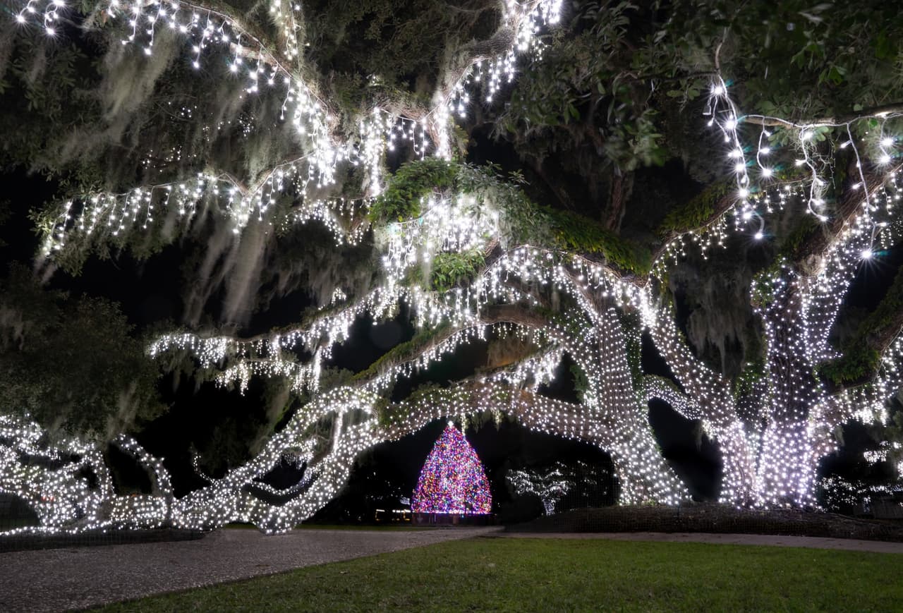 Solo el Gran Árbol tiene más de 45,000 y no puedes perderte el desfile de luces, los fuegos artificiales navideños y las presentaciones especiales de autocines.