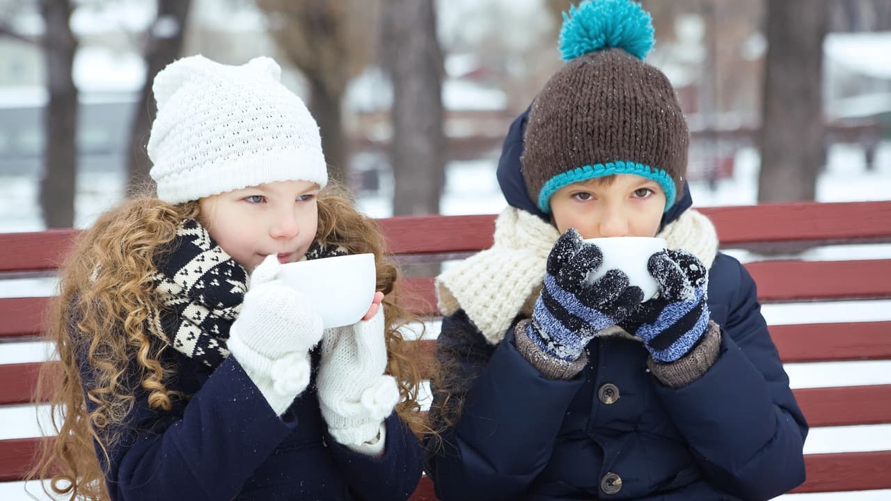 En los EEUU, el metapneumovirus circula en distintas temporadas anuales. La circulación de HMPV comienza en invierno y dura hasta la primavera. Metapneumovirus, RSV e influenza pueden circular simultáneamente durante la temporada de virus respiratorios.
<br>