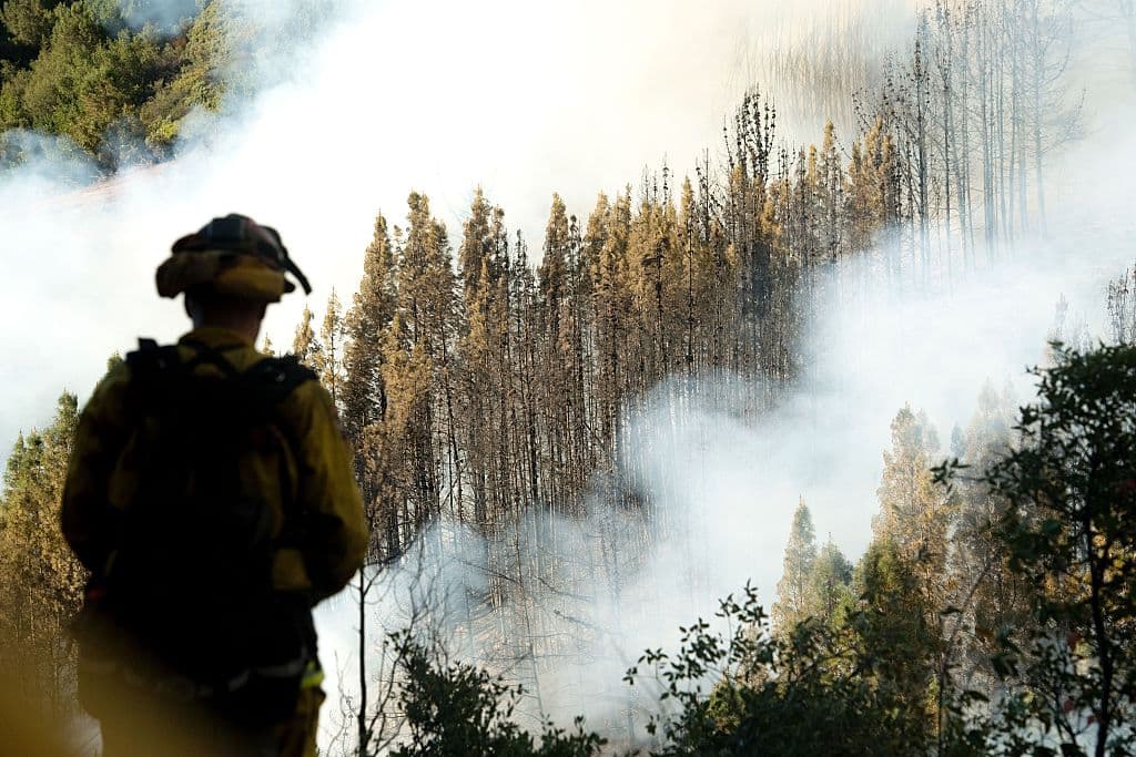 A firefighter looks on while flames consume brush and trees in the Santa Cruz Mountains near Morgan Hill, California on September 27, 2016. The Loma Fire has charred more than 1000 acres and burned multiple structures in the area. / AFP / Josh Edelson (Photo credit should read JOSH EDELSON/AFP/Getty Images)