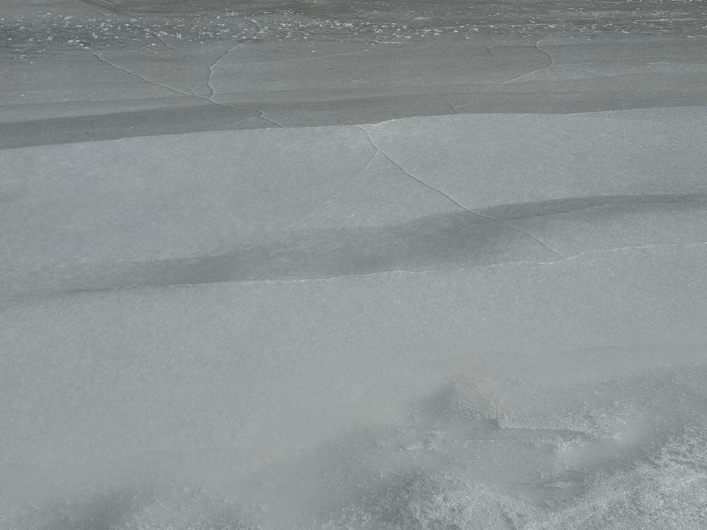 Los pedazos de hielo han crecido a lo largo del río Des Plaines.