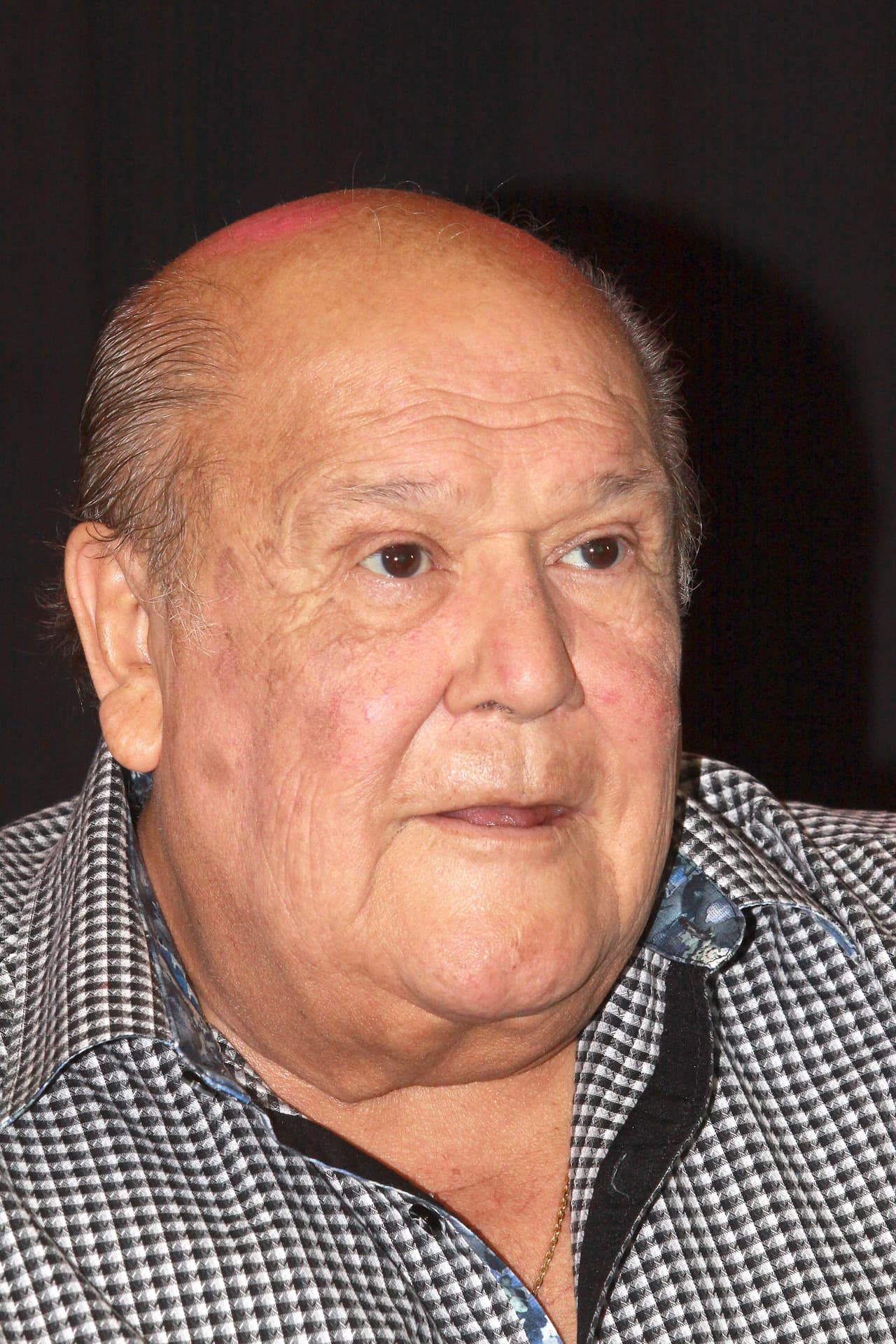 Por su parte, el cantante Leo Dan dijo sobre Guzmán: "Yo 
<b>tengo también una mala impresión de Enrique</b>, pero me aguanto […] ya sé que él es así, hay que quererlo", dijo en la conferencia de prensa.