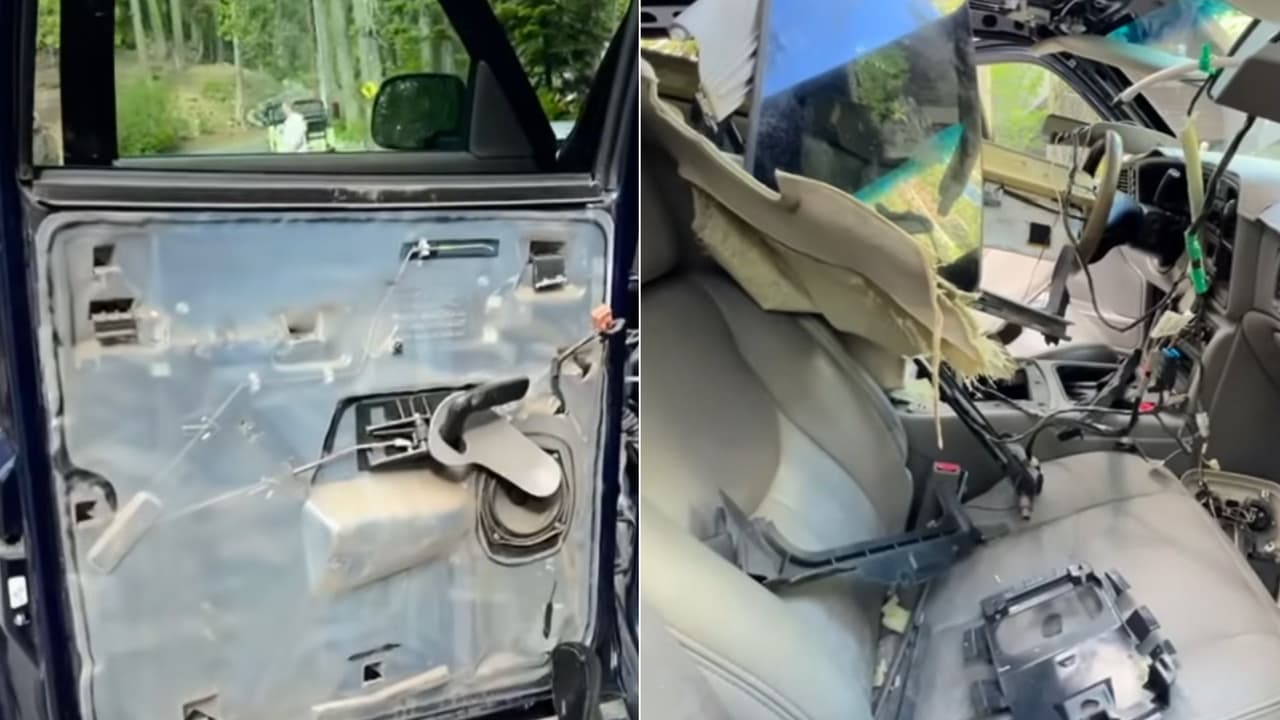 Oso destruye automóvil de hombre originario de Sacramento en Lake Tahoe