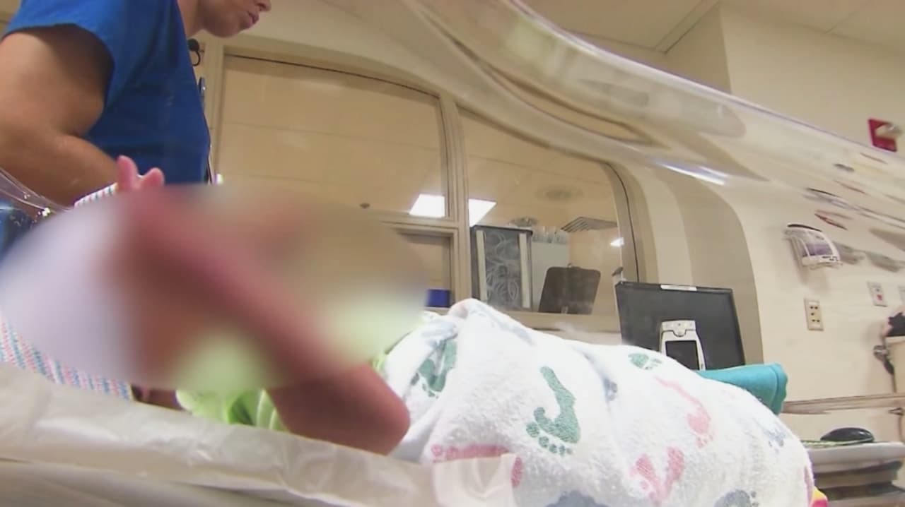 Amenaza en juguetes y envases: Dos componentes que podrían provocar partos prematuros y muertes de bebés