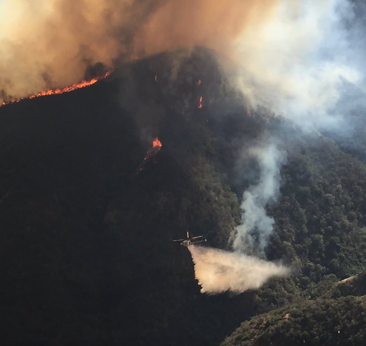 Bomberos combaten el fuego desde el aire.
