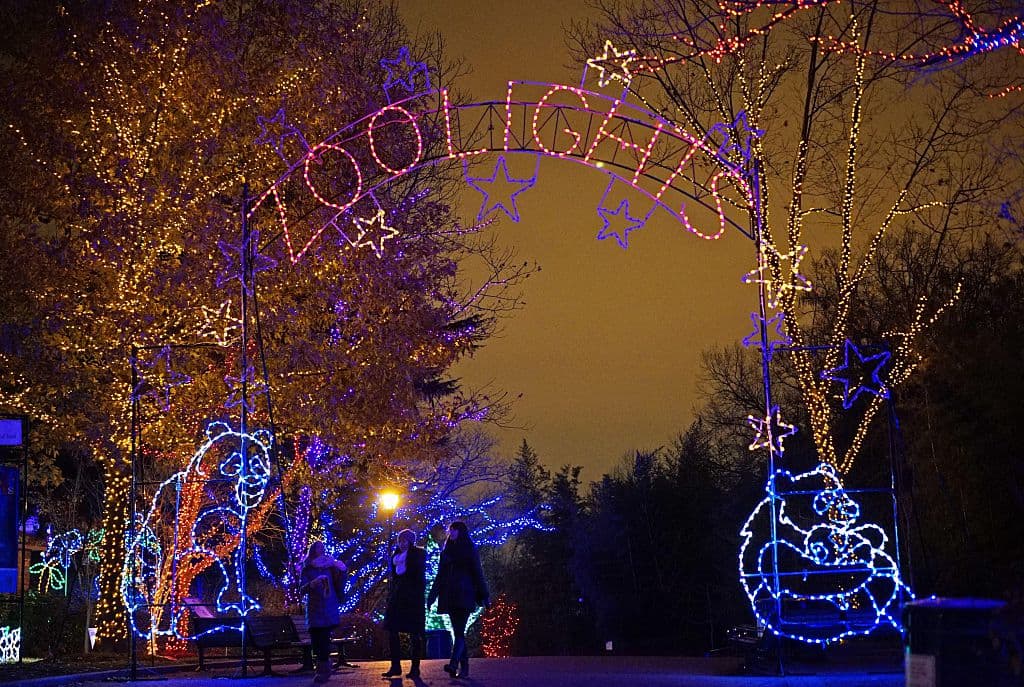 ZooLightsSe trata de uno de los despliegues de luces navideñas más impresionantes, lo puedes visitar al aire libre hasta el domingo 2 de enero de 2022, por lo que es una buena opción estas vacaciones navideñas para evitar el contacto físico con otras personas.