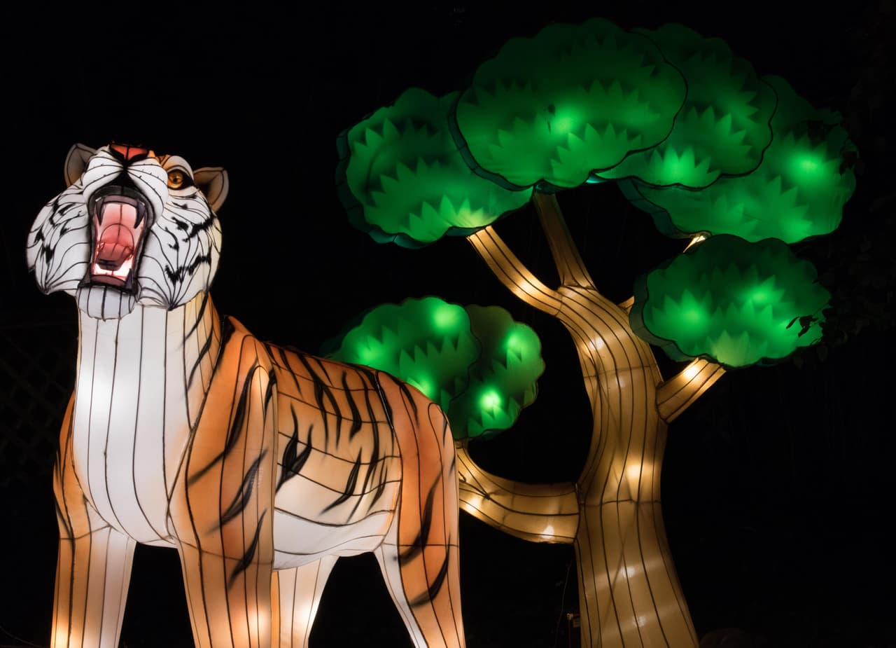 La edición de este año fue nombrada The Wilde, una muestra de animales de todos los continentes en tamaño real.