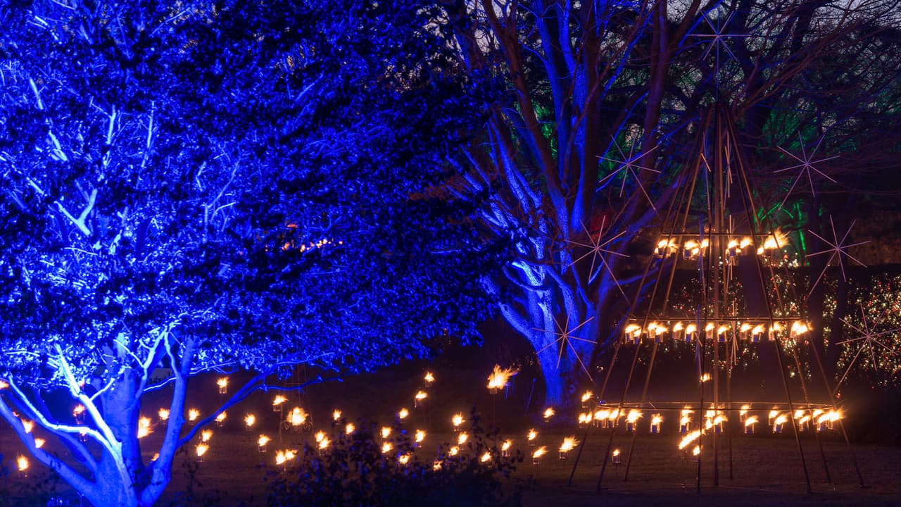 El Jardín Botánico de Houston fue terminado en 2002 y está ubicado en la 1 Botanic Lane, al sureste del centro de la ciudad.