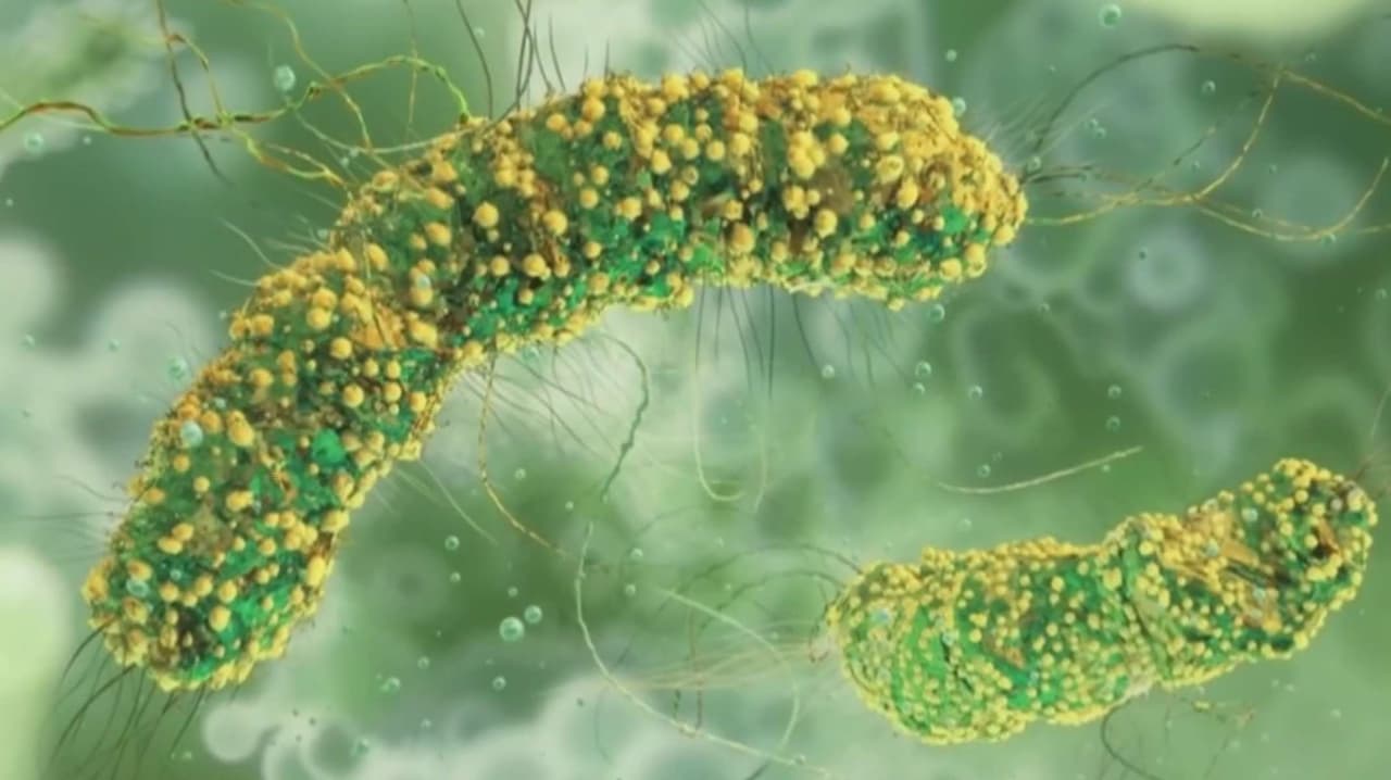 California emite alerta por virus respiratorio HMPV: Autoridades piden lavar las manos con frecuencia