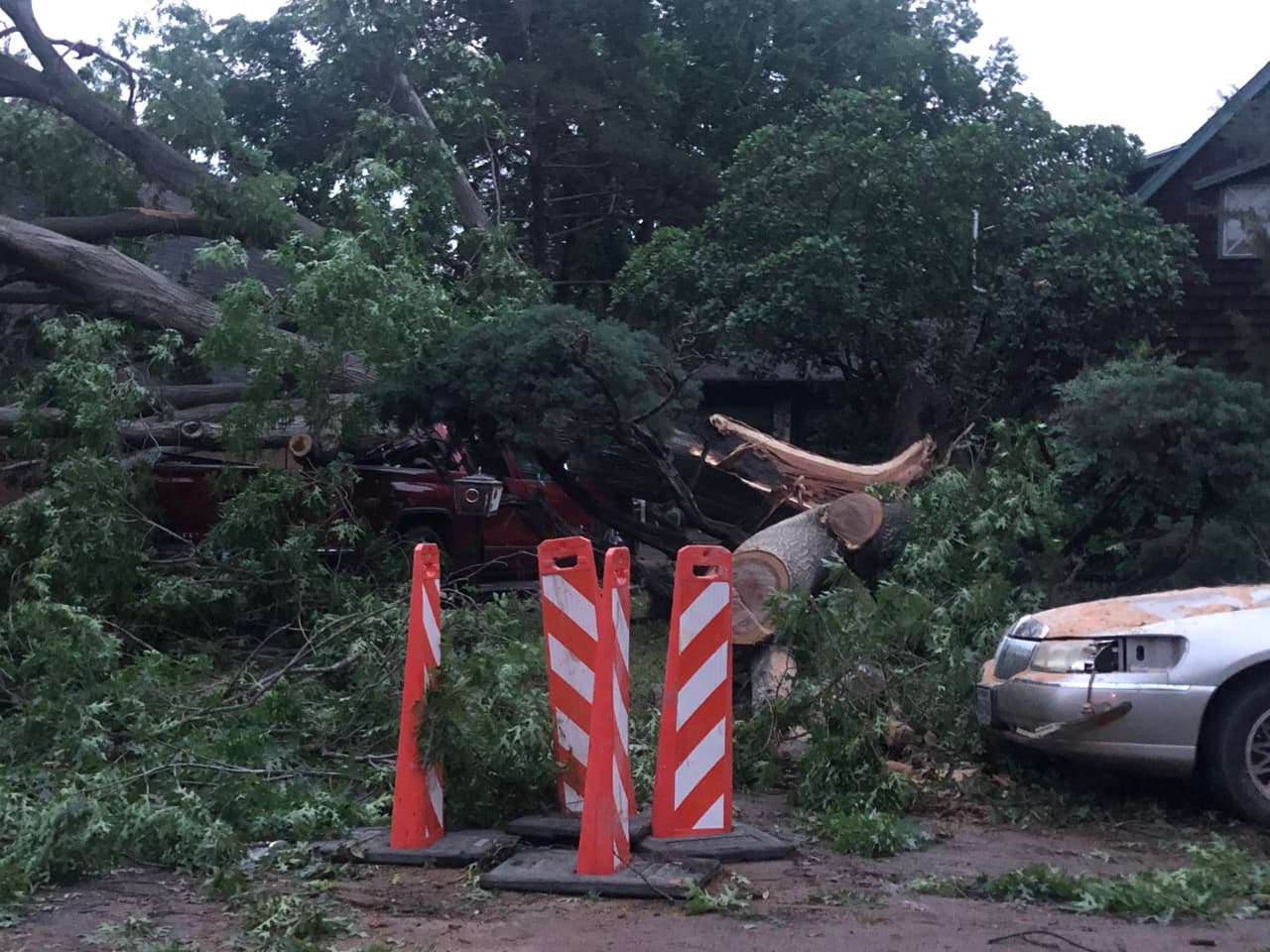 El tornado provocó derribar árboles de gran tamaño.