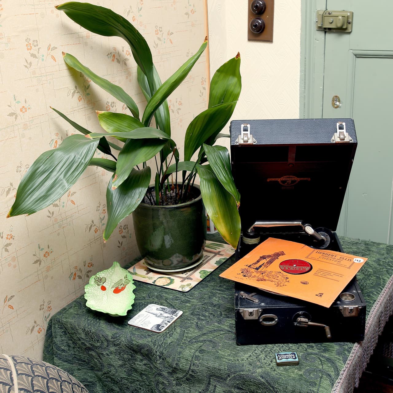 Hasta las plantas parecen viejas en esta casa, ¡y ese tocadiscos ayuda al efecto!