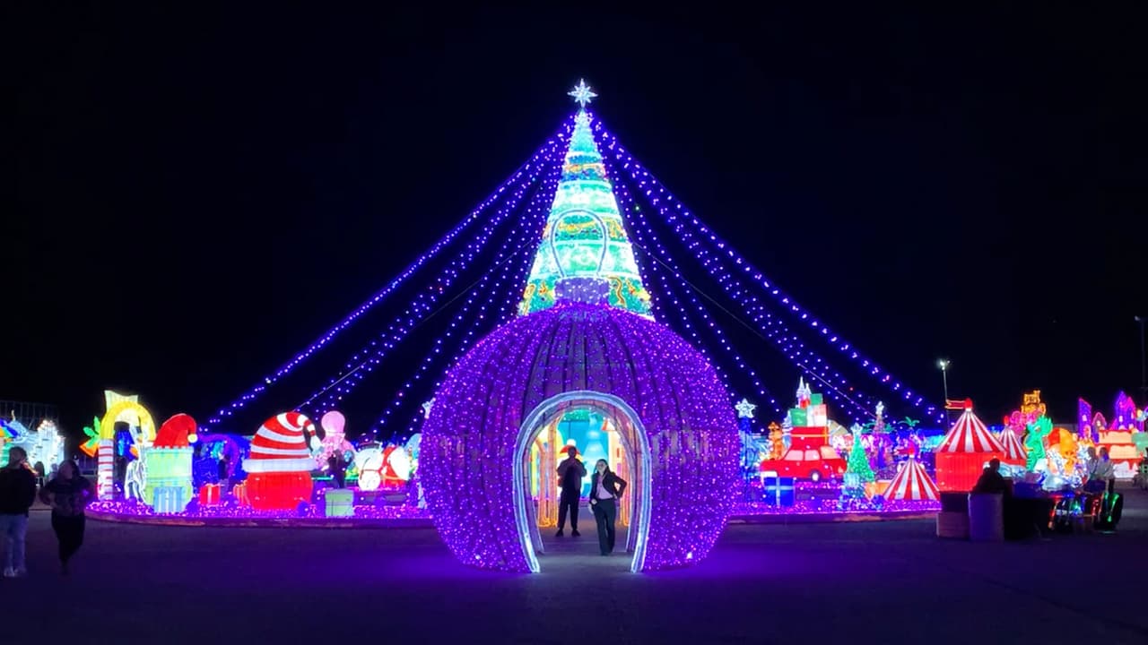 Una familia de Houston originaria de China quiso compartir este espectáculo en Estados Unidos por lo que crearon el festival.