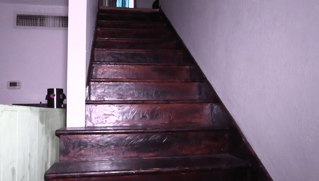 Se leyeron con cautela los contenidos de los reportes, más de 50 personas fueron contactadas, múltiples veces testigos reportaron que vieron a Alicia con un hombre afroamericano.