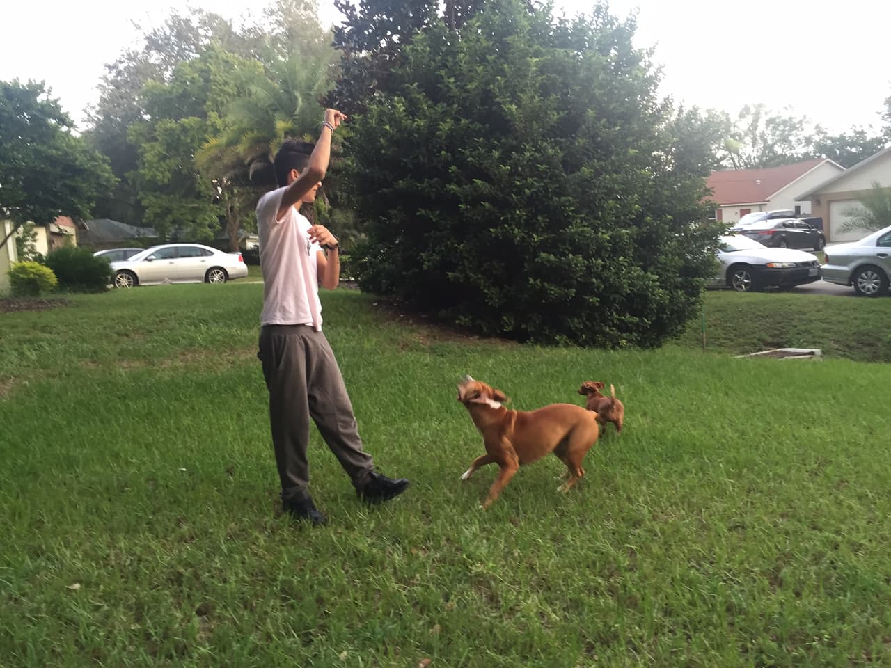 El cubano es un amante de los animales y no lo esconde. Sus dos grandes amores son Kiara y Nena. ¿Quién no se enamora de estas dos bellezas?