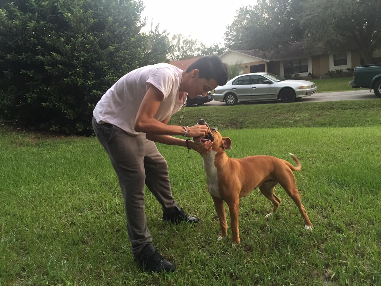 El cubano es un amante de los animales y no lo esconde. Sus dos grandes amores son Kiara y Nena. ¿Quién no se enamora de estas dos bellezas?