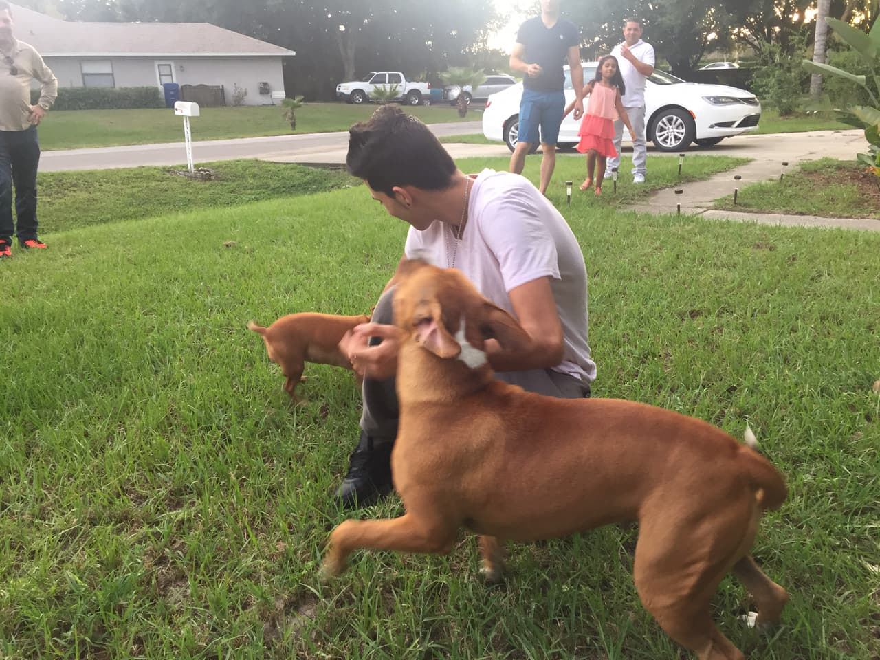 El cubano es un amante de los animales y no lo esconde. Sus dos grandes amores son Kiara y Nena. ¿Quién no se enamora de estas dos bellezas?