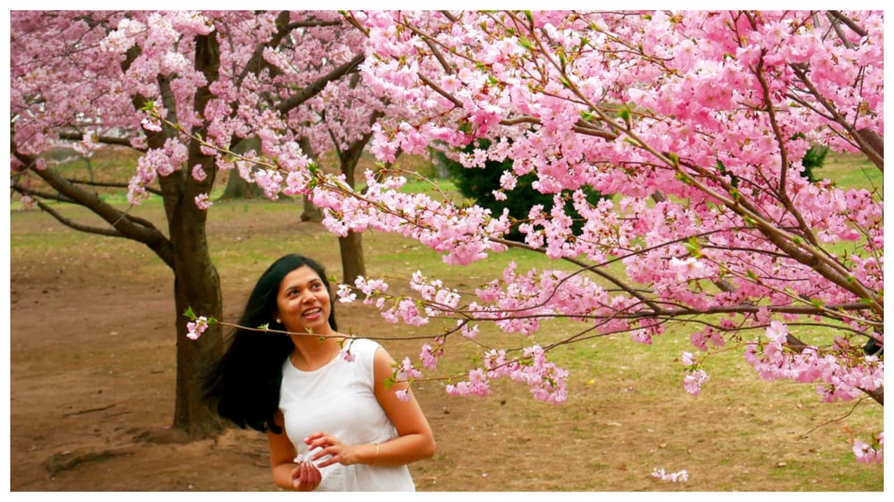 Y si te gustan las flores, todos los días miércoles a las 11 a.m. hay charlas (sin costo) sobre los cerezos en el Cherry Blossom Welcome Center y, durante todo el año,
<b> hay tours sobre la historia del parque</b> llamando al (973) 433-9047.