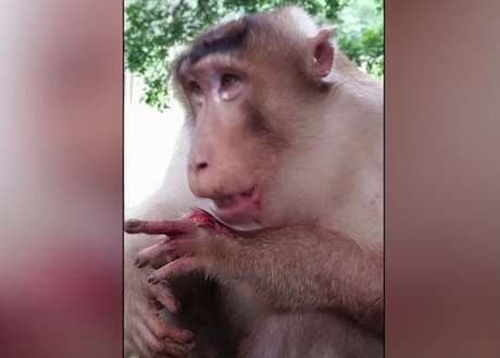 Videos de impacto - 31 de agosto