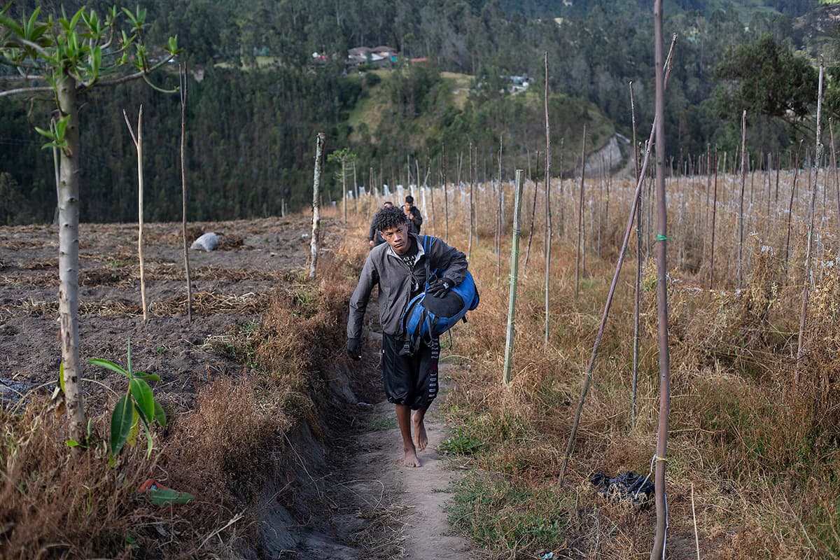 lLs trochas, muchas inexploradas, conducen hacia zonas agrícolas de Ecuador. Algunos jóvenes se lanzan machete en mano para abrir camino. 
<br>
<br>