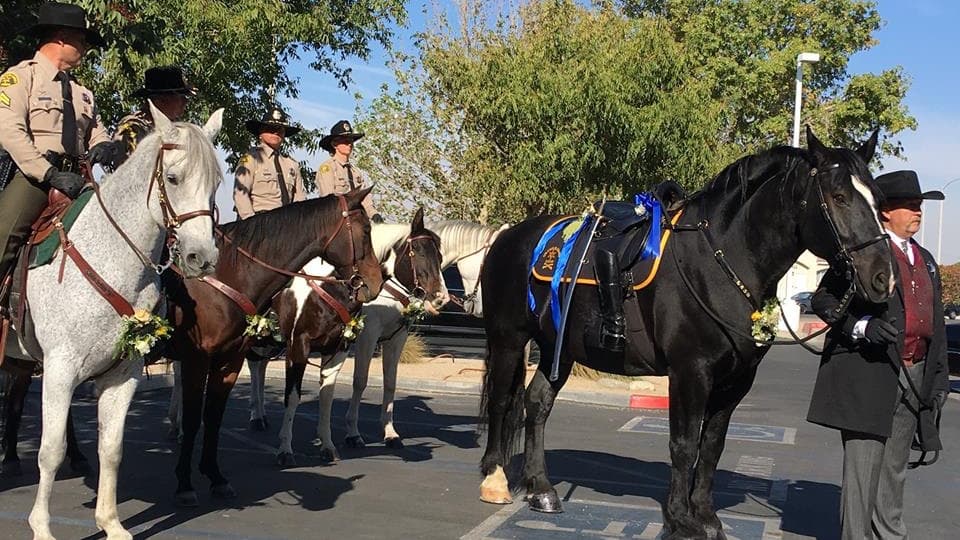 Un caballo negro Max, que utilizaba Owen en la división ecuestre, desfiló sin jinete en la procesión.