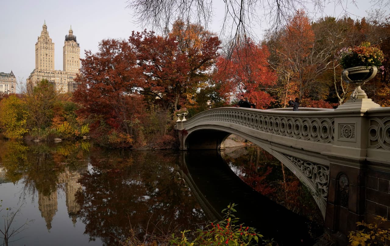 "Algo que hace el estado de Nueva York especial es la gran variedad de especies de árboles que tenemos, lo que causa los diferentes colores", dijo Brian Ellis, científico del Departamento Forestal y Climatológico (DEC por sus siglas en inglés) a Noticias Univision 41.