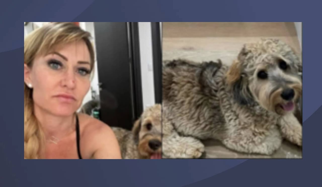 Madre reportada como desaparecida iba a recoger a su hijo a la escuela después de un partido