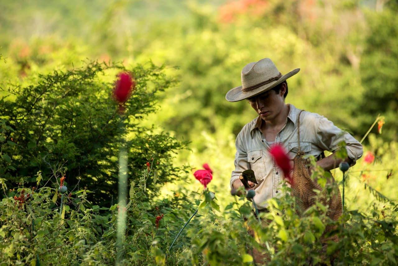 Los hombres para los que trabajaba le aseguraban que era mucho mejor agricultor que su padre.