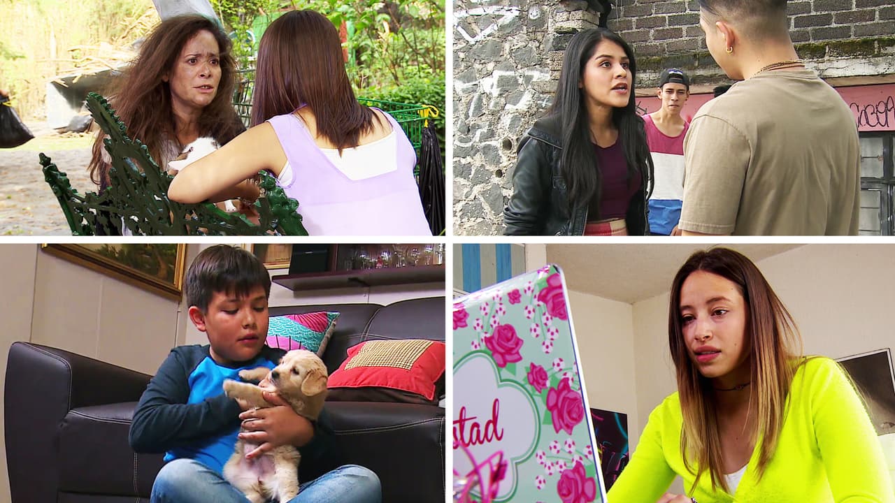 Revive lo mejor de la semana de La Rosa de Guadalupe