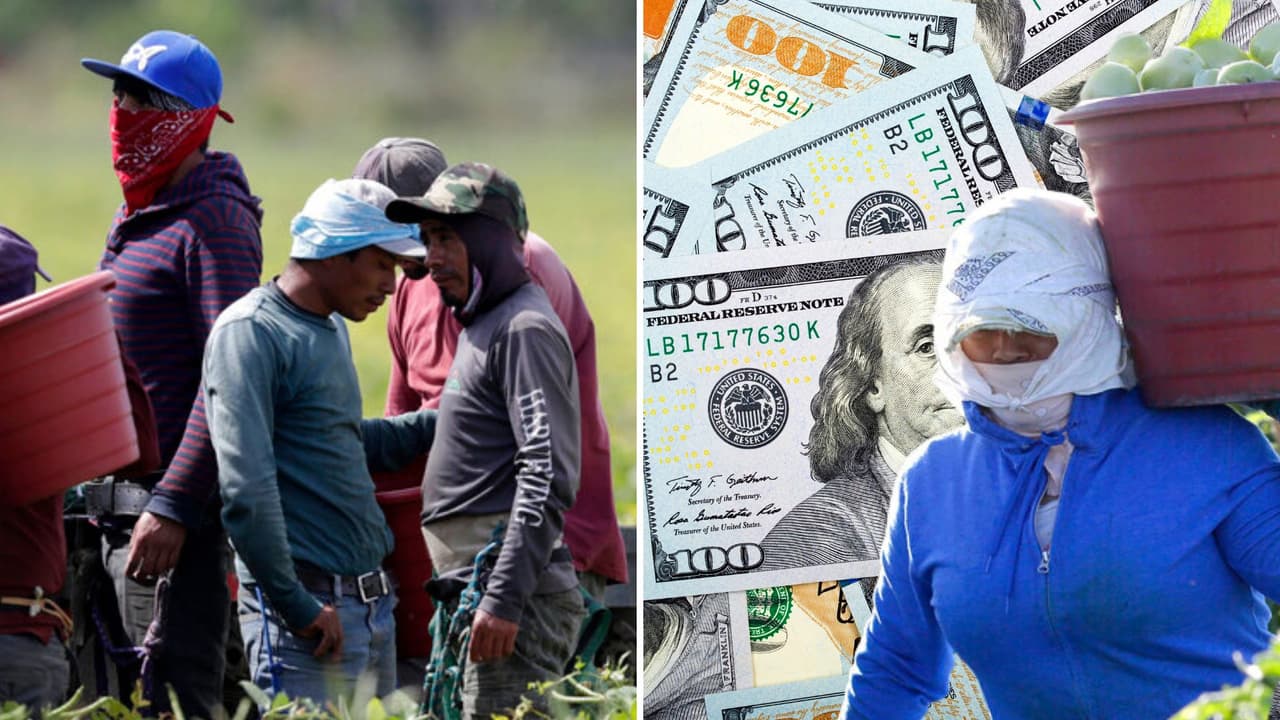 ¿Cuántos días de vacaciones te corresponden si trabajas en California? Aquí te decimos