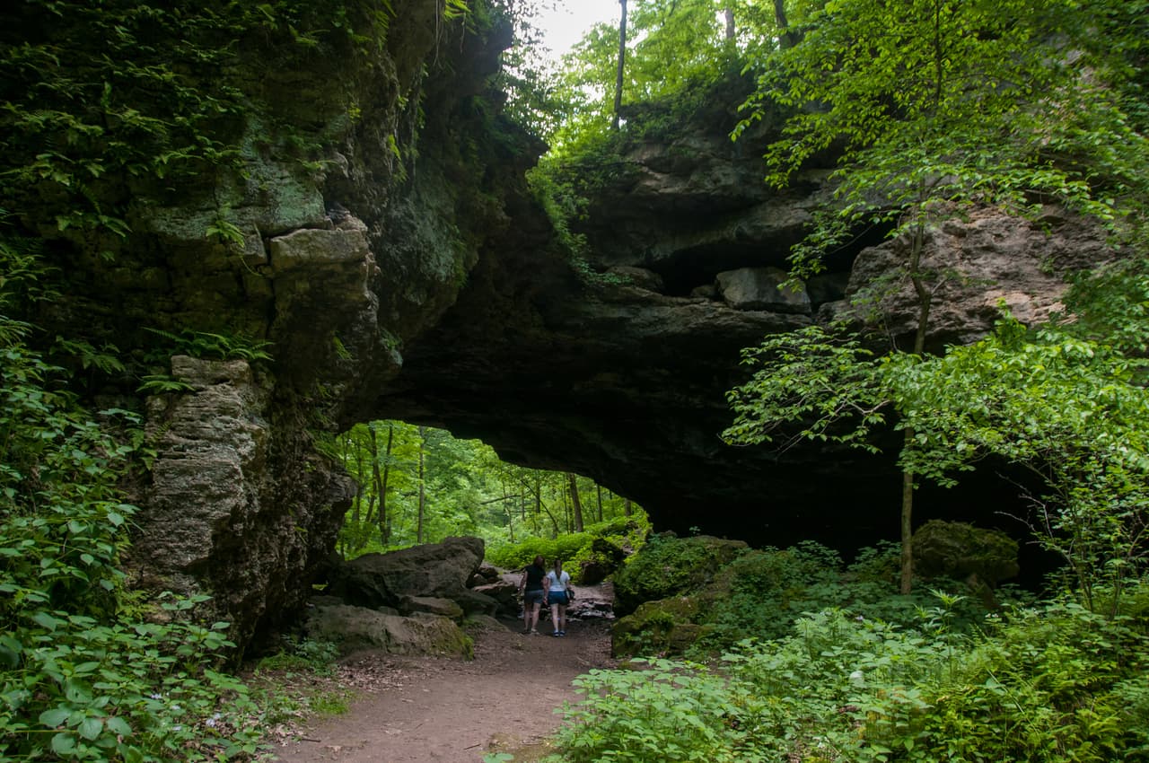 Una familia fue apuñalada, estrangulada y asesinada cuando se encontraban de campamento: la policía desconoce el motivo
