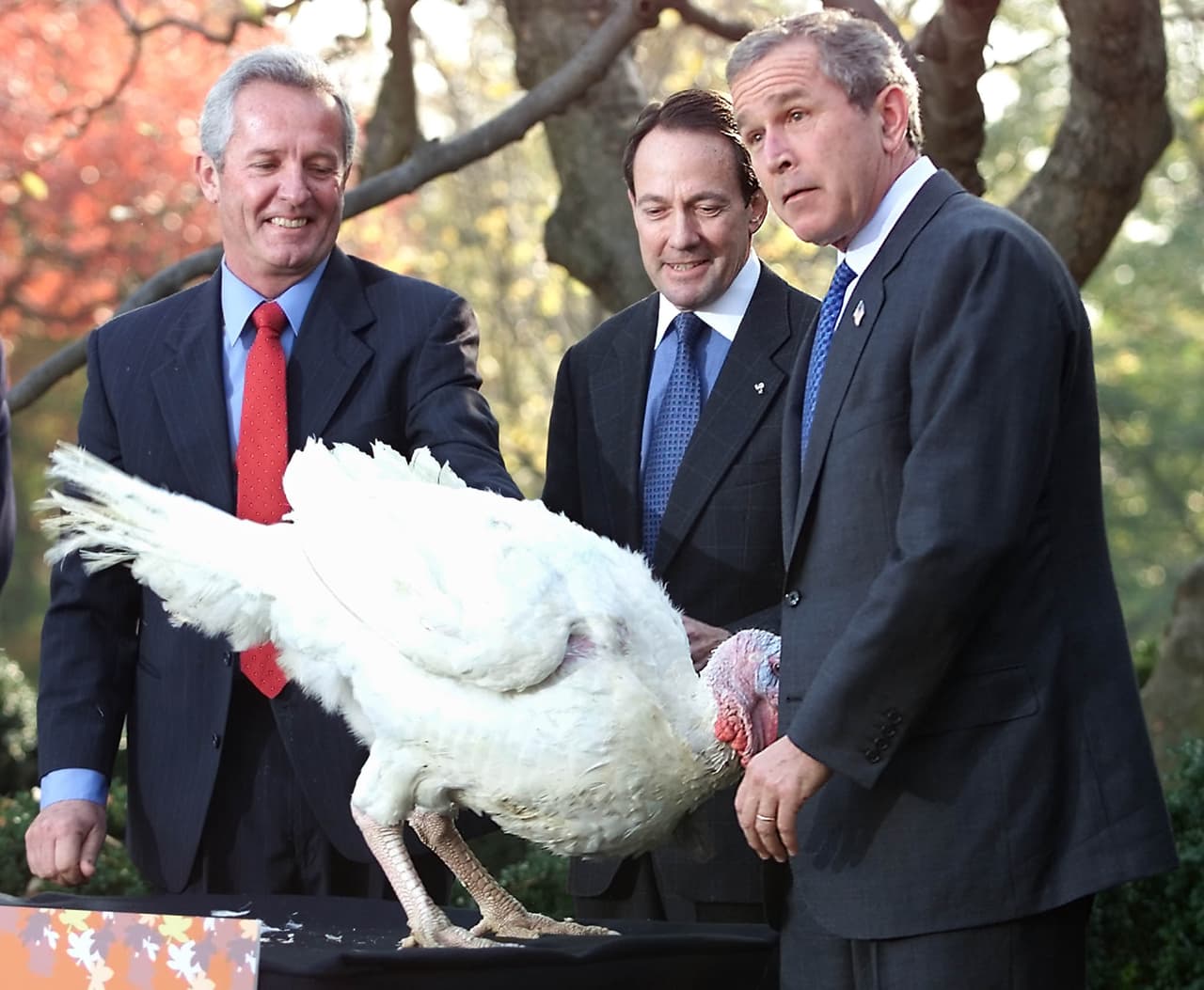 El primer pavo indultado por
<b>George W. Bush</b> se llamó 'Libertad', en 2001.