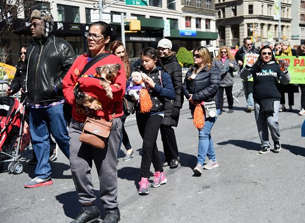 Algunos participaron del evento en brazos de sus dueños.
