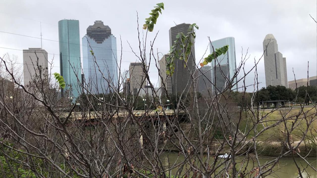 Además de esta área de juegos, el parque ofrece una serie de opciones que invitan a los visitantes a conectarse con la naturaleza en medio de la ciudad.