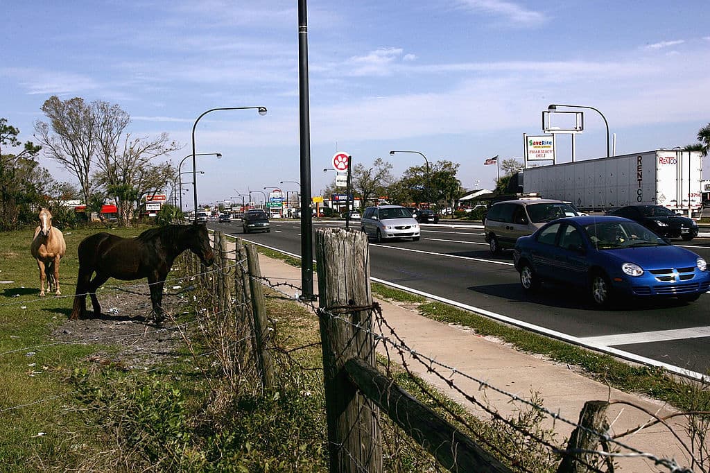 Orlando es nombrada la ciudad con las peores carreteras de EE.UU., según nuevo estudio
