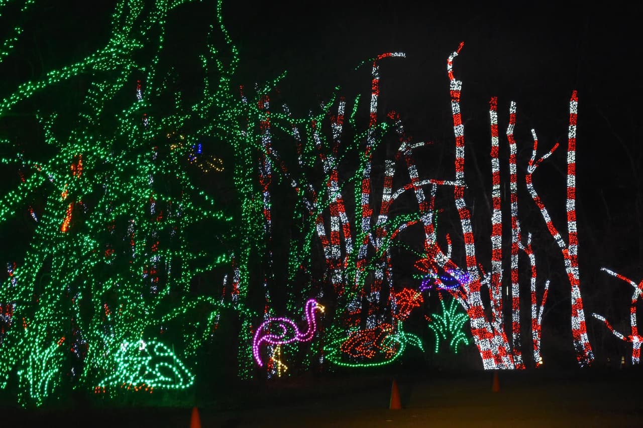 <b><a href="https://shadybrookfarm.com/pages/holiday-light-show">Holiday Light Show at Shady Brook Farm (Hasta el 8 de enero)</a></b>. Los visitantes conducen o, si el clima lo permite, viajan en carretas frente a pantallas nocturnas, túneles iluminados y casi todos los íconos navideños imaginables representados en diminutas bombillas.