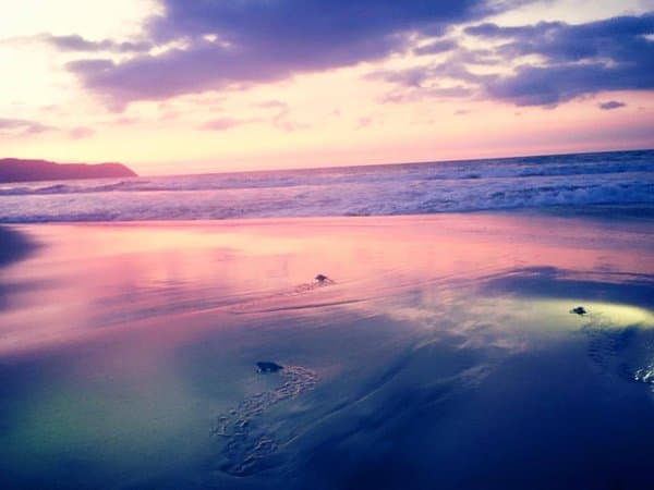 La novia de Sebastián Rulli compartió varias fotografías de su estancia en el destino paradisiaco, que ahora está enfrentando una de las peores contingencias.