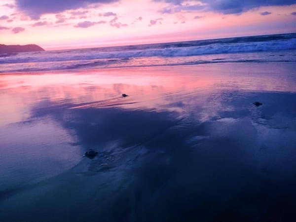 Dicho fenómeno tiene a las autoridades mexicanas en alerta pues podría tratarse del más catastrófico del que se tenga registro en toda la historia de México y el mundo.