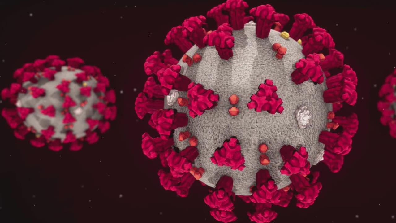 Identifican nuevas variantes de covid-19: experto habla de sus posibles riesgos