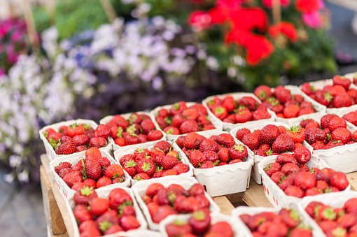 El dinero recaudado en el festival irá destinado a becas para ayudar a que jóvenes de Poteet puedan estudiar.