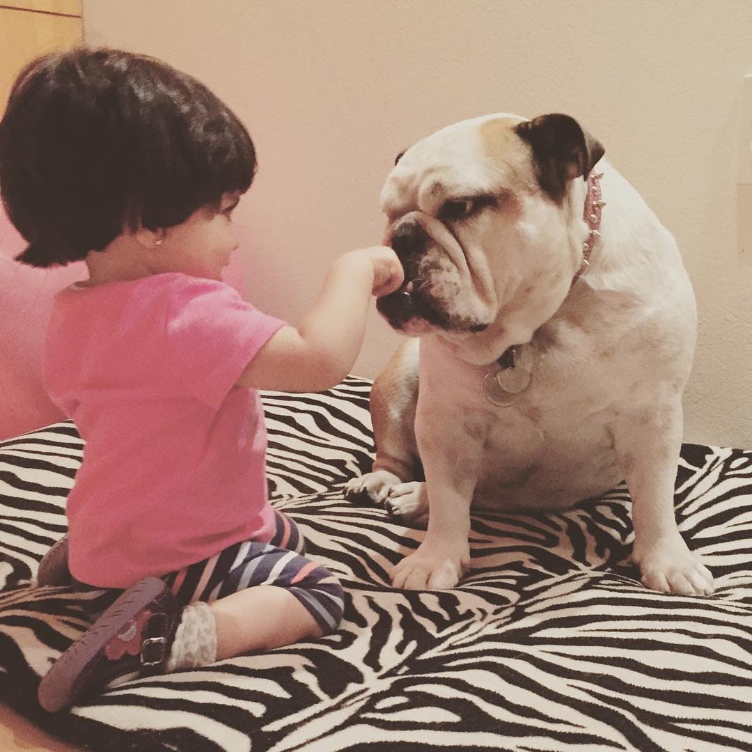 Sus padres presumen en las redes sociales la increíble relación amistosa que tienen.