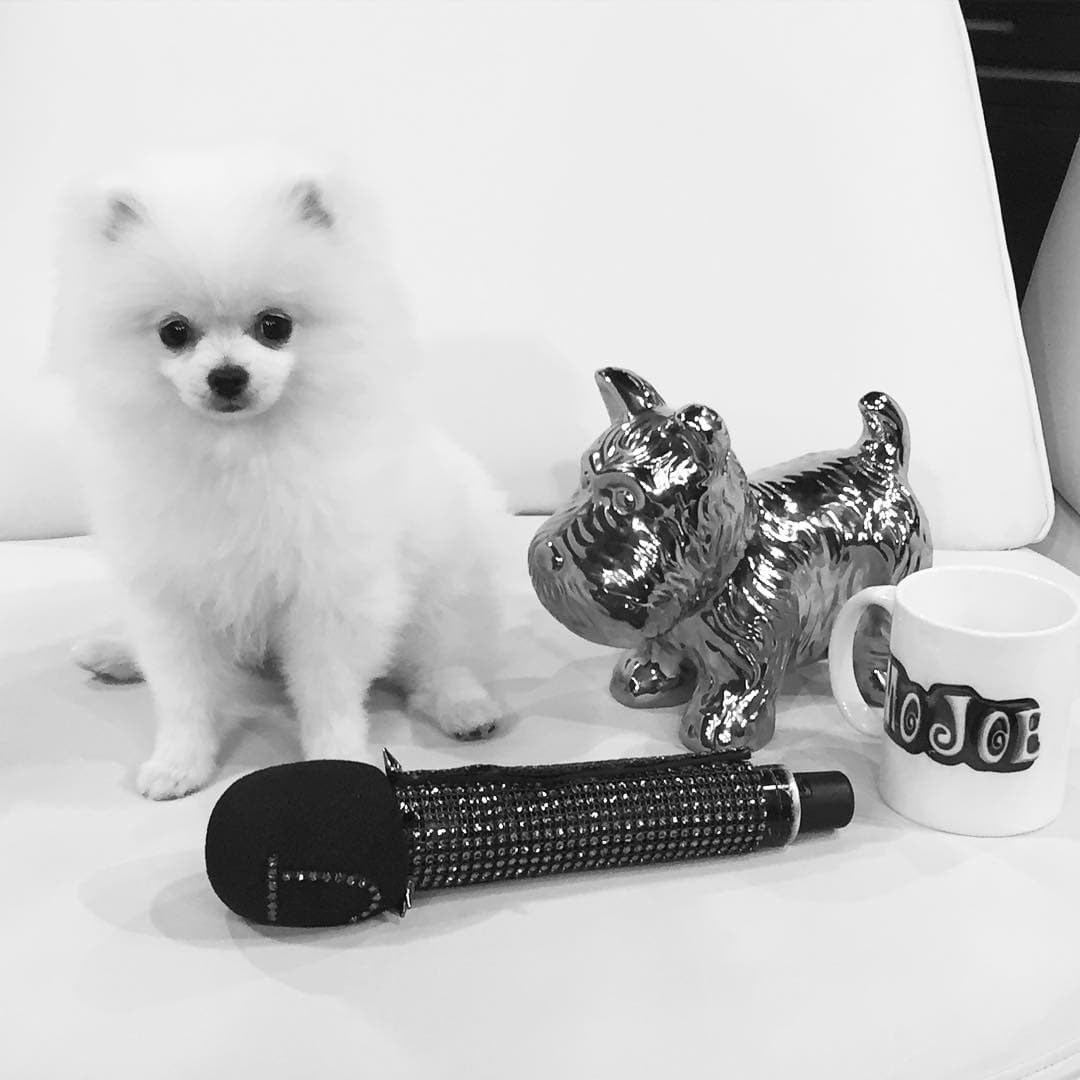 Montserrat Oliver no se quería quedar atrás y también tiene como mascota a una linda Pomerania.